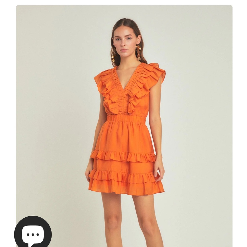 Endless Rose Ruffle Detail Mini Dress